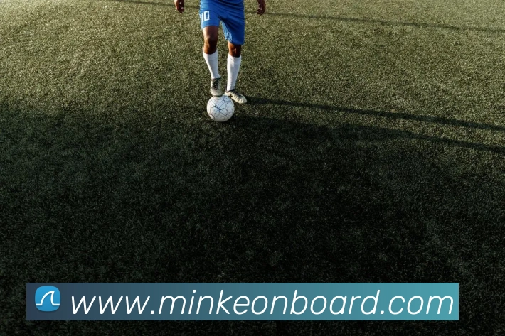 奖项证书